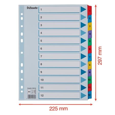 Register, kartón, A4, 1-12, ESSELTE "Mylar"