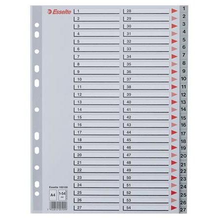 Register, plastový, A4, 1-54, ESSELTE, sivý