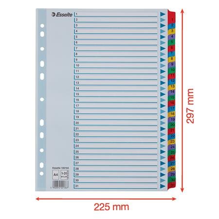 Register, kartón, A4, 1-31, ESSELTE "Mylar"