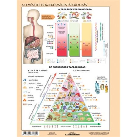 Učebná pomôcka, A4,  STIEFEL "Az emésztőrendszer - Tráviaci systém" - výrobok v MJ