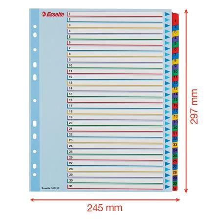 Register, laminovaný kartón, A4 Maxi, 1-31, prepisovateľný, ESSELTE