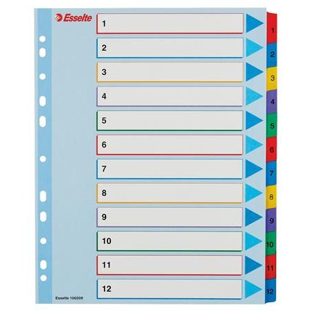 Register, laminovaný kartón, A4 Maxi, 1-12, prepisovateľný, ESSELTE