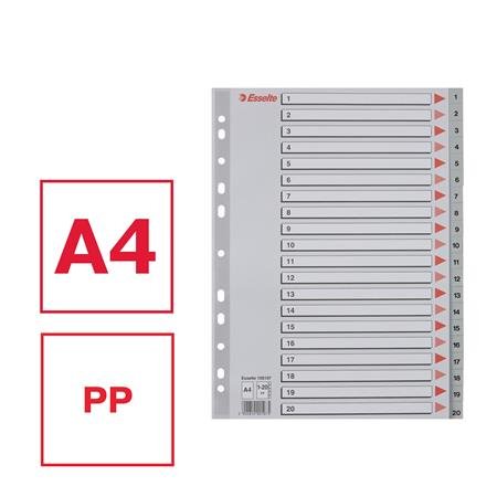 Register, plastový, A4, 1-20, ESSELTE, sivý